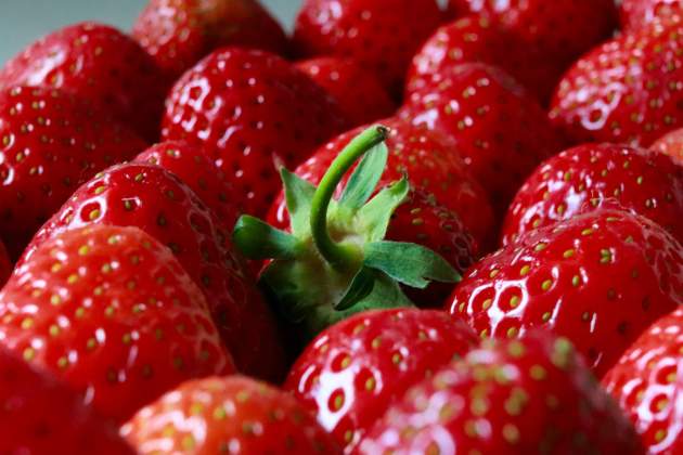 Conservar fresas / Foto: Unsplash