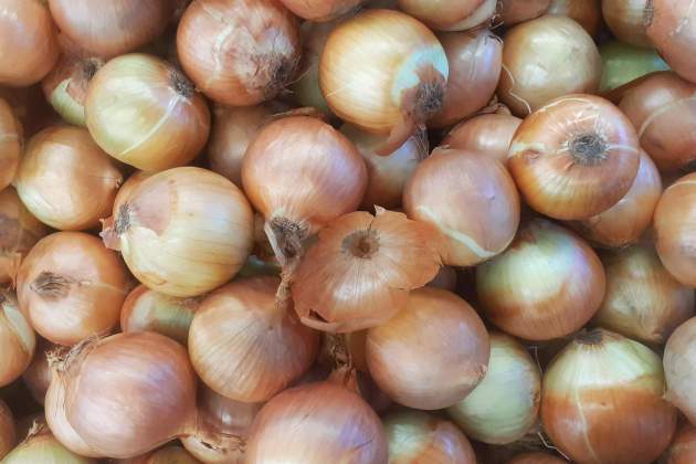 Cebolla, el gran debate en la tortilla / Foto: Unsplash