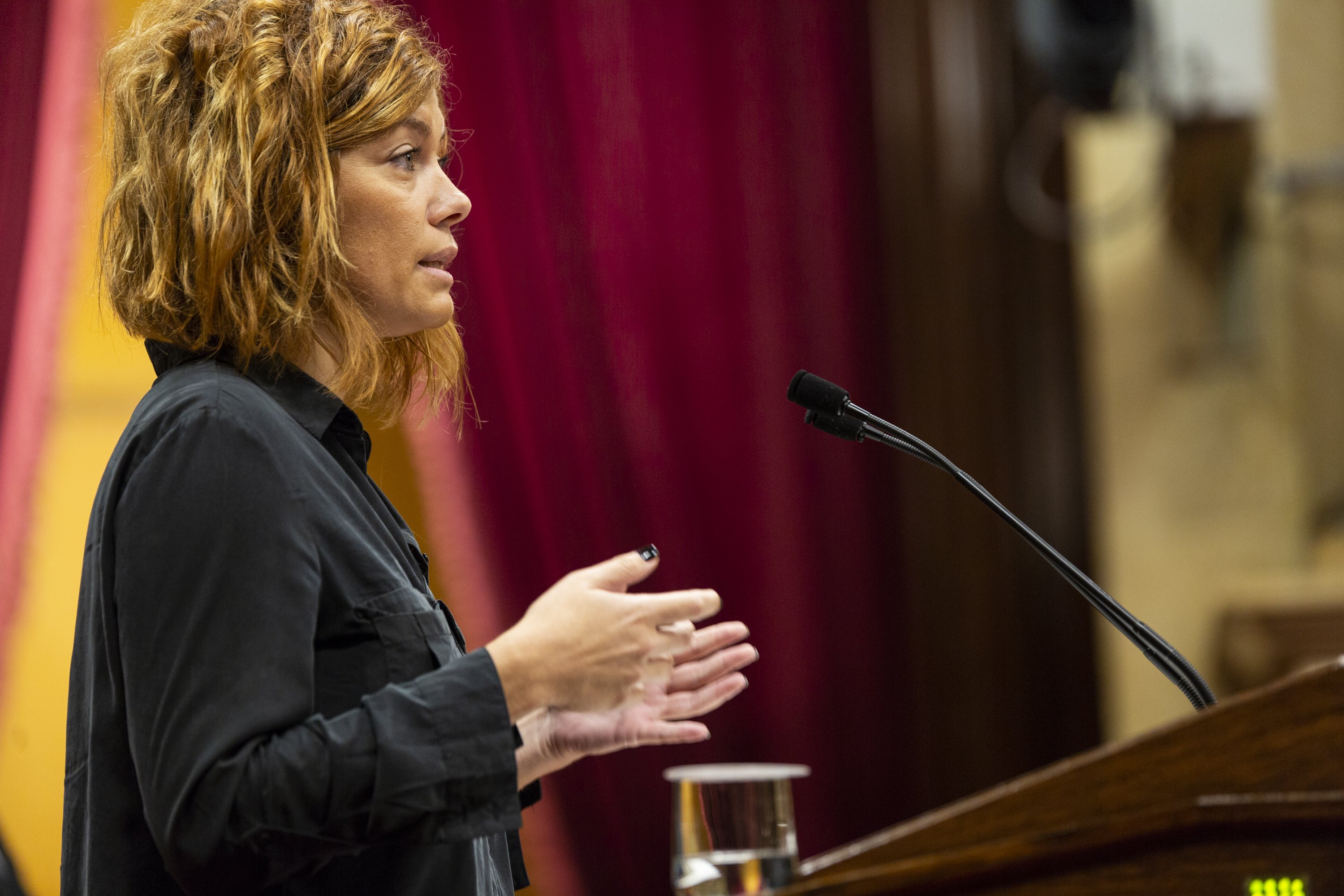 Alamany creu que el seu cessament està sobre la taula