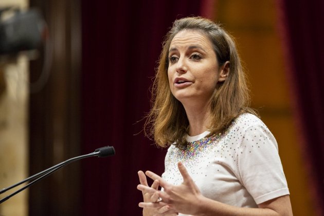 Levy PPC ple comisio drets civils i politics - Sergi Alcazar