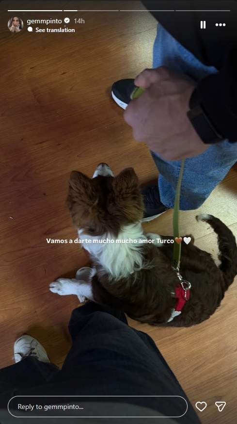 Turco, el nuevo miembro de la familia de Marc Marquez y Gemma Pinto / Instagram