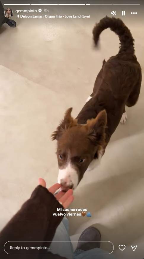 Gemma Pinto se despide de su perro hasta el viernes / Instagram
