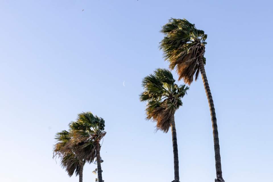 Protecció Civil envía un ES-Alert por el fuerte viento a seis comarcas en riesgo muy alto