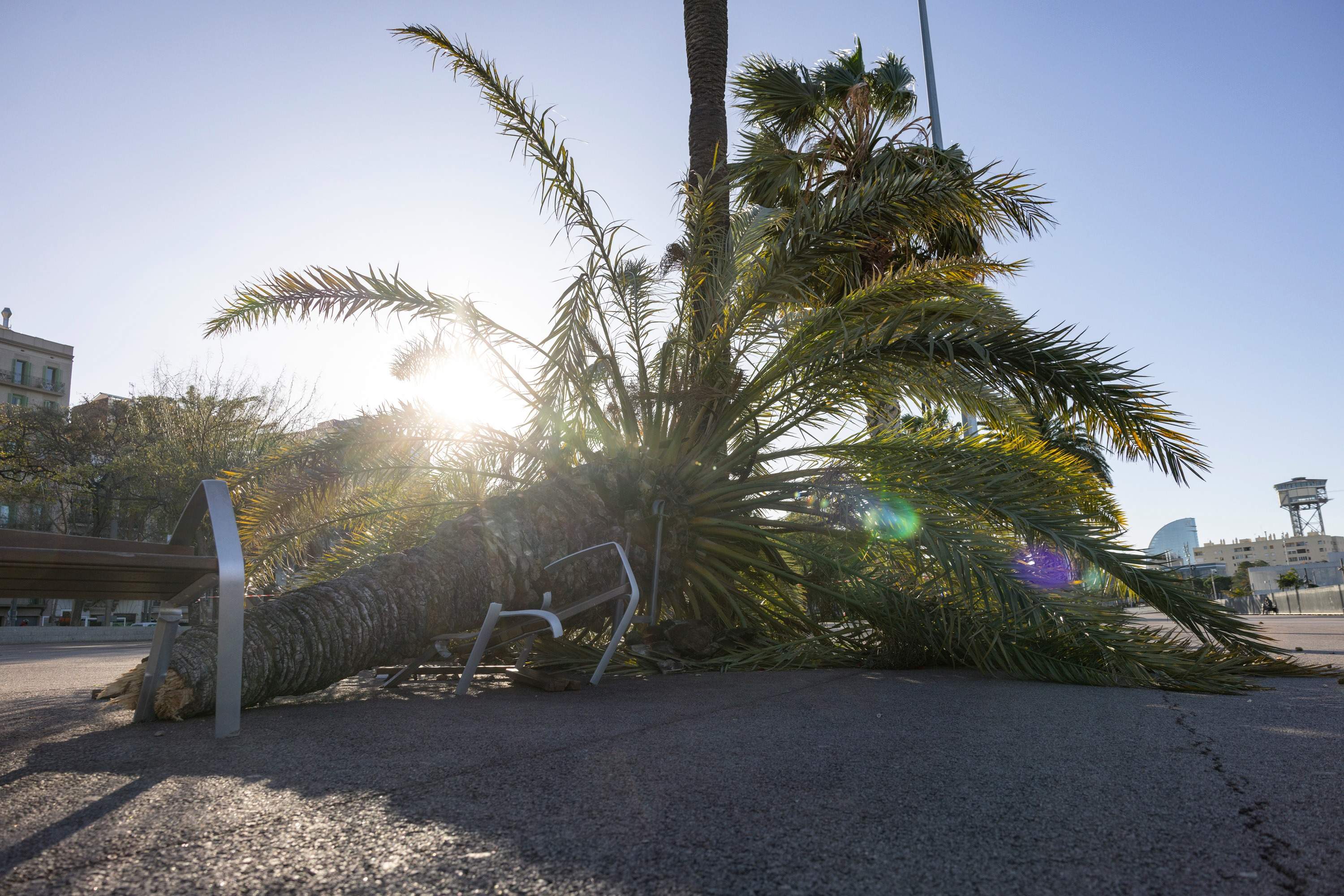 Mor una de les persones ferides per la ventada a Barcelona