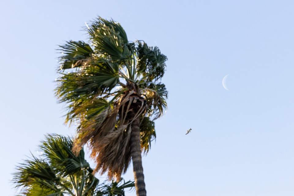 Catalunya vuelve a estar en alerta por viento: el peligro máximo, este jueves