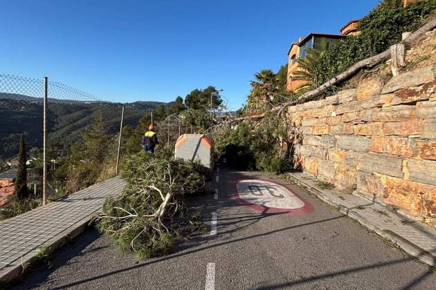Temporal vent fort Palleja Temporal vent fort Palleja