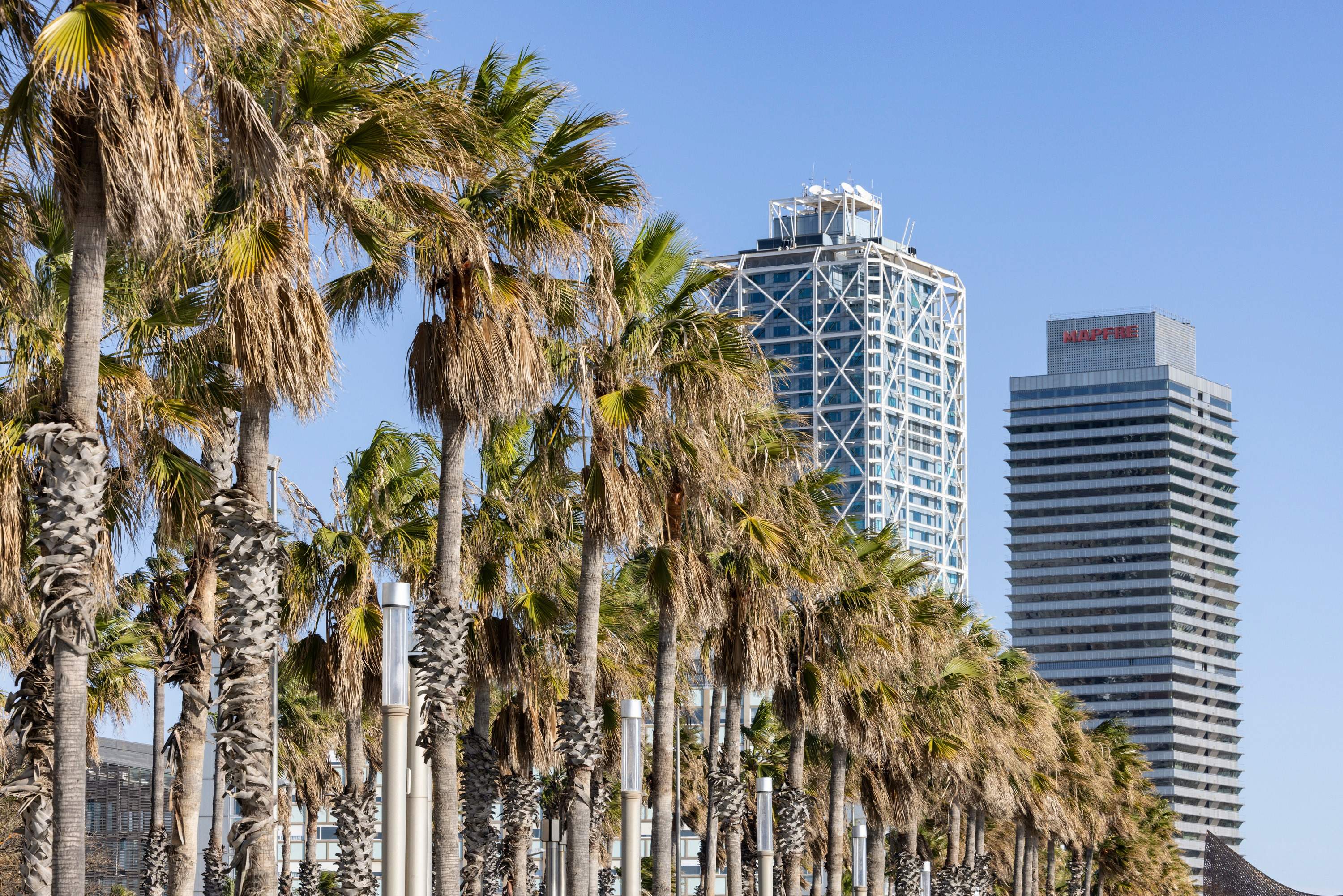 Protecció Civil pide "no bajar la guardia" por el viento y pone el foco en los desfiles de Carnaval