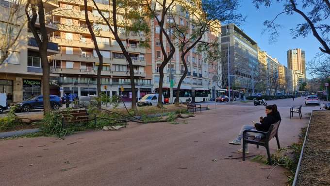 Foto de Tomàs Molina, tw