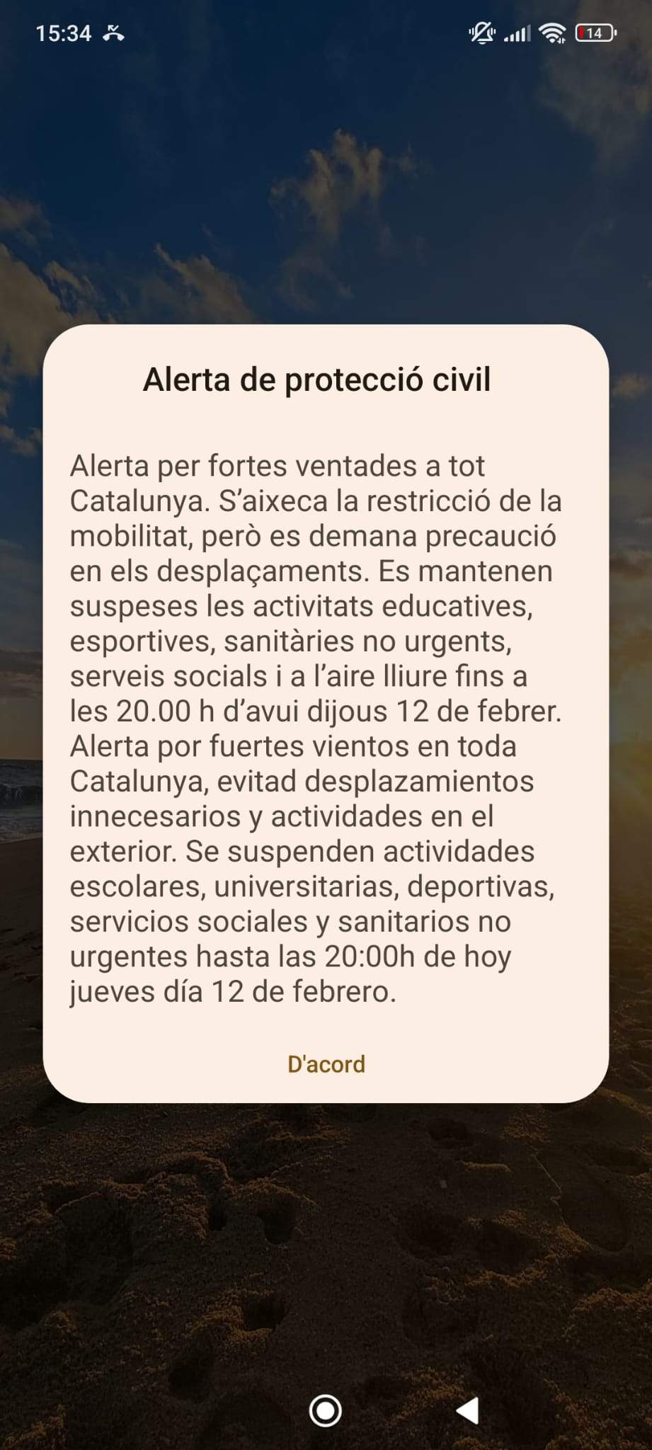 WhatsApp Image 2026 02 12 at 15.36.00