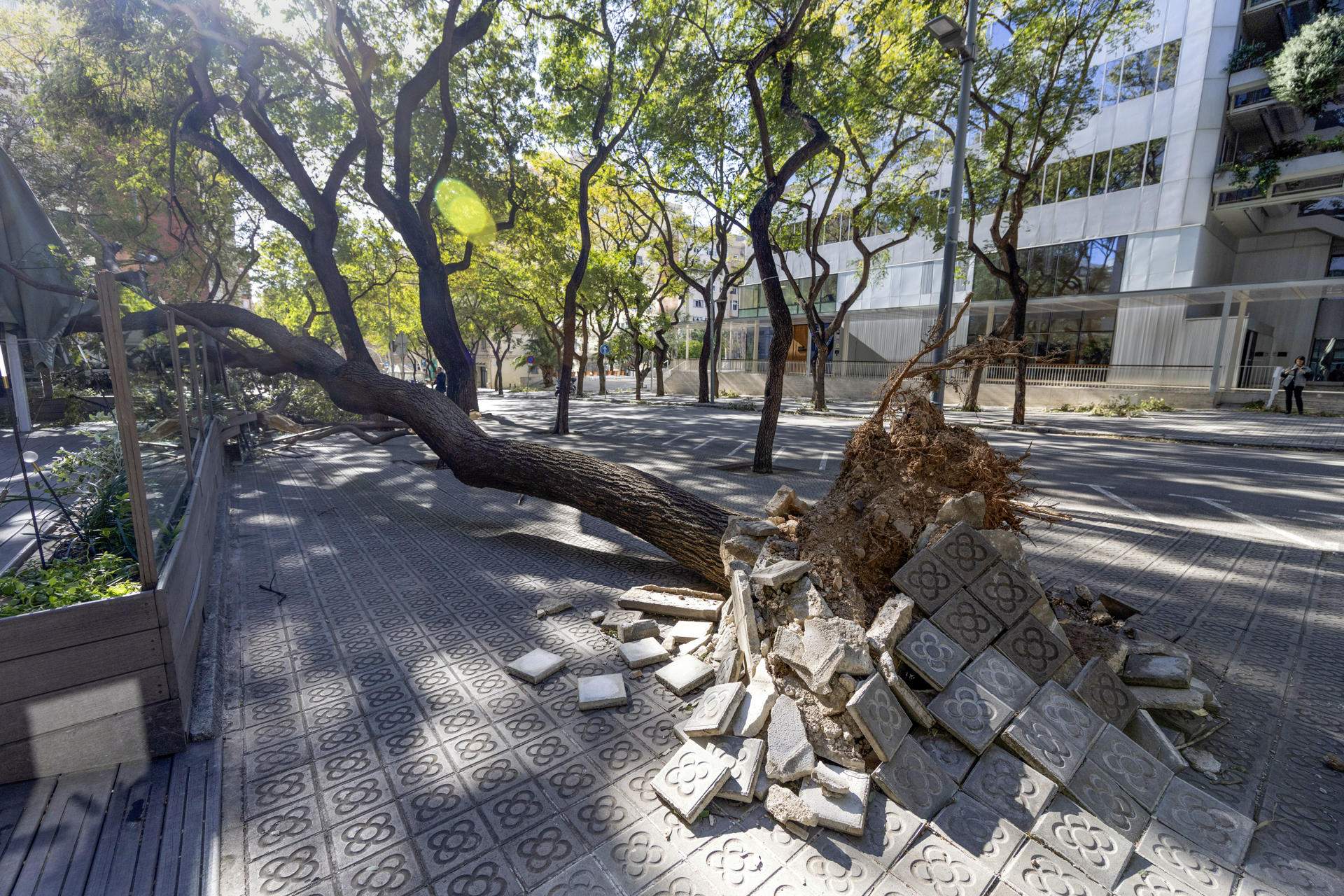 Aproves la paralització de tot Catalunya pel temporal de vent?