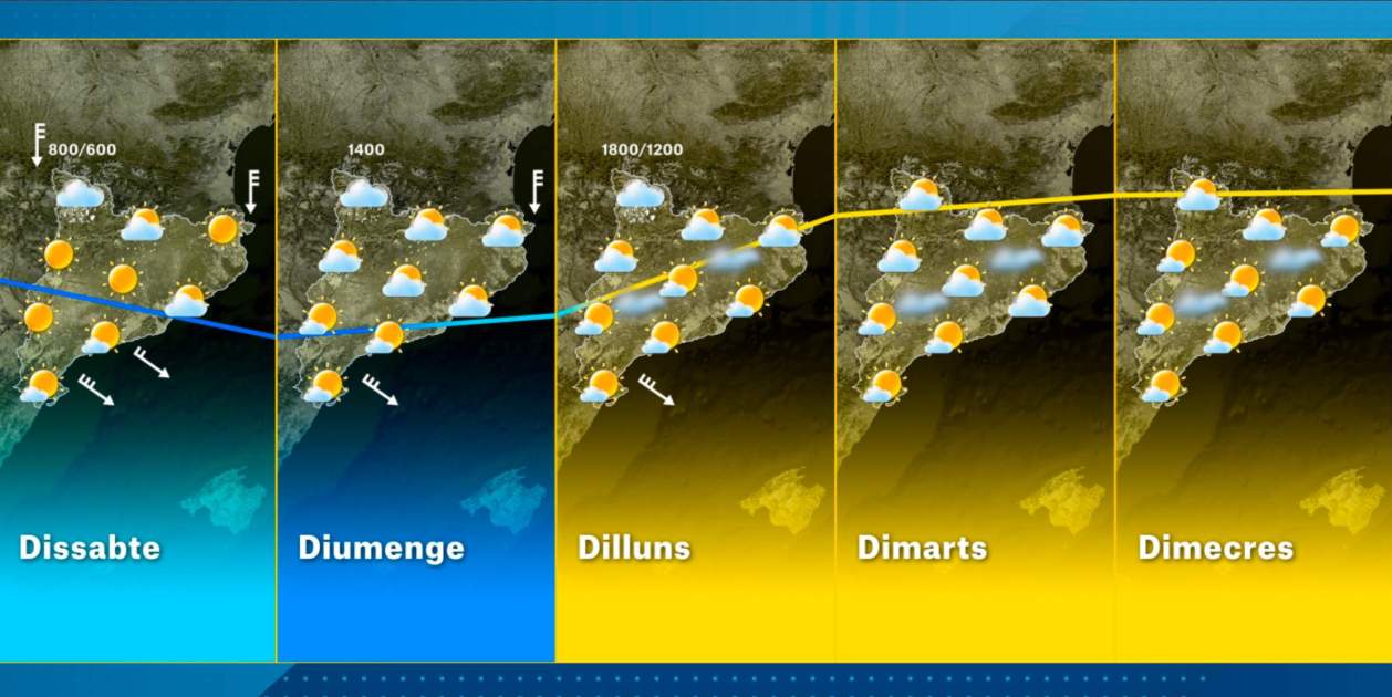 Captura de pantalla 2026 02 12 185538