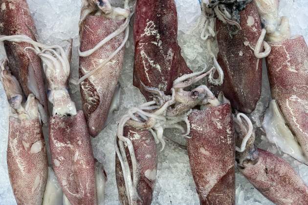 Calamares