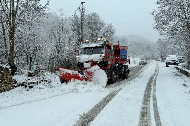 llevaneus altron sort ACN llevaneus altron sort ACN