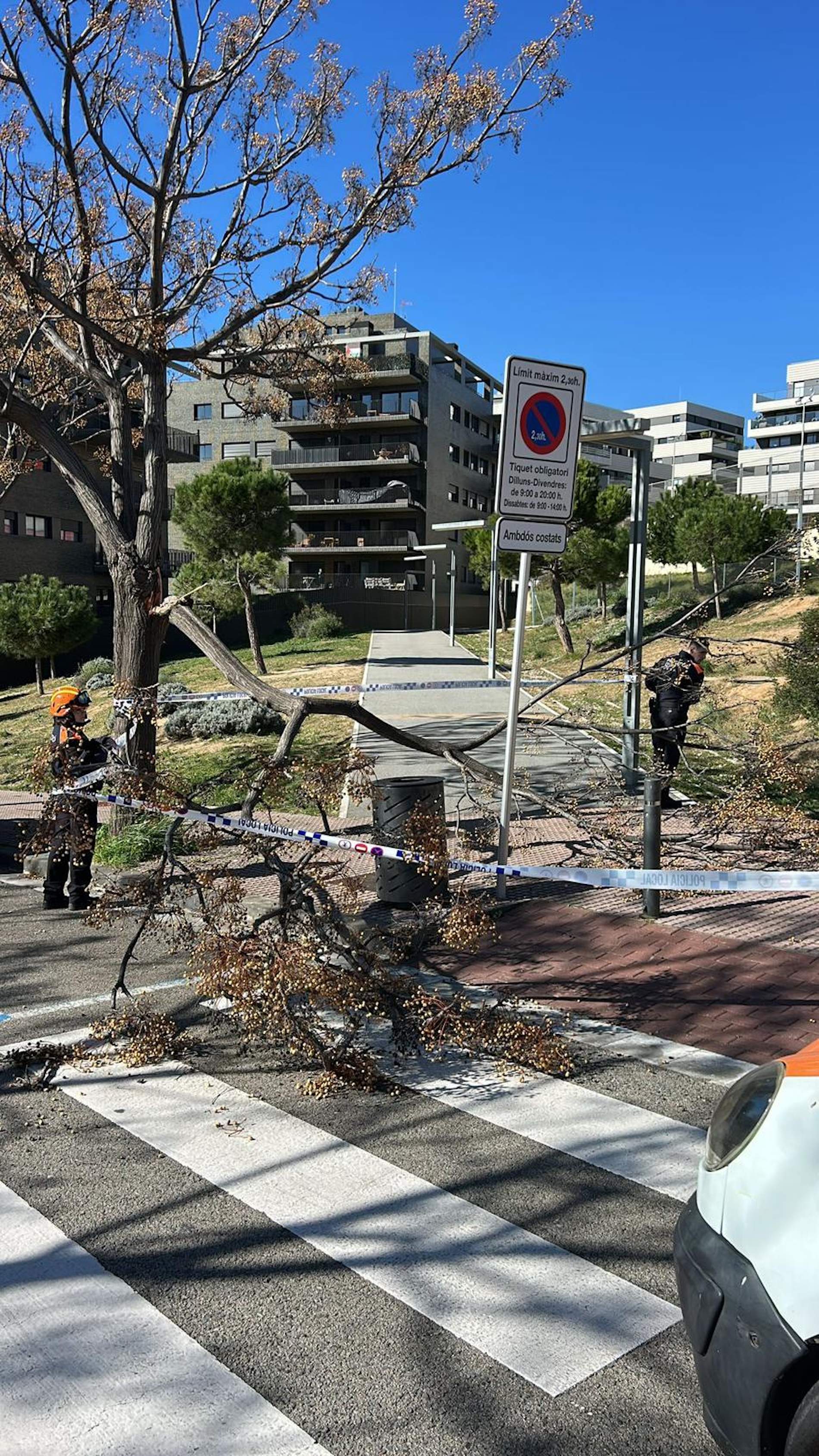 ¿Cómo está afectando el temporal de viento a las rúas de Carnaval?