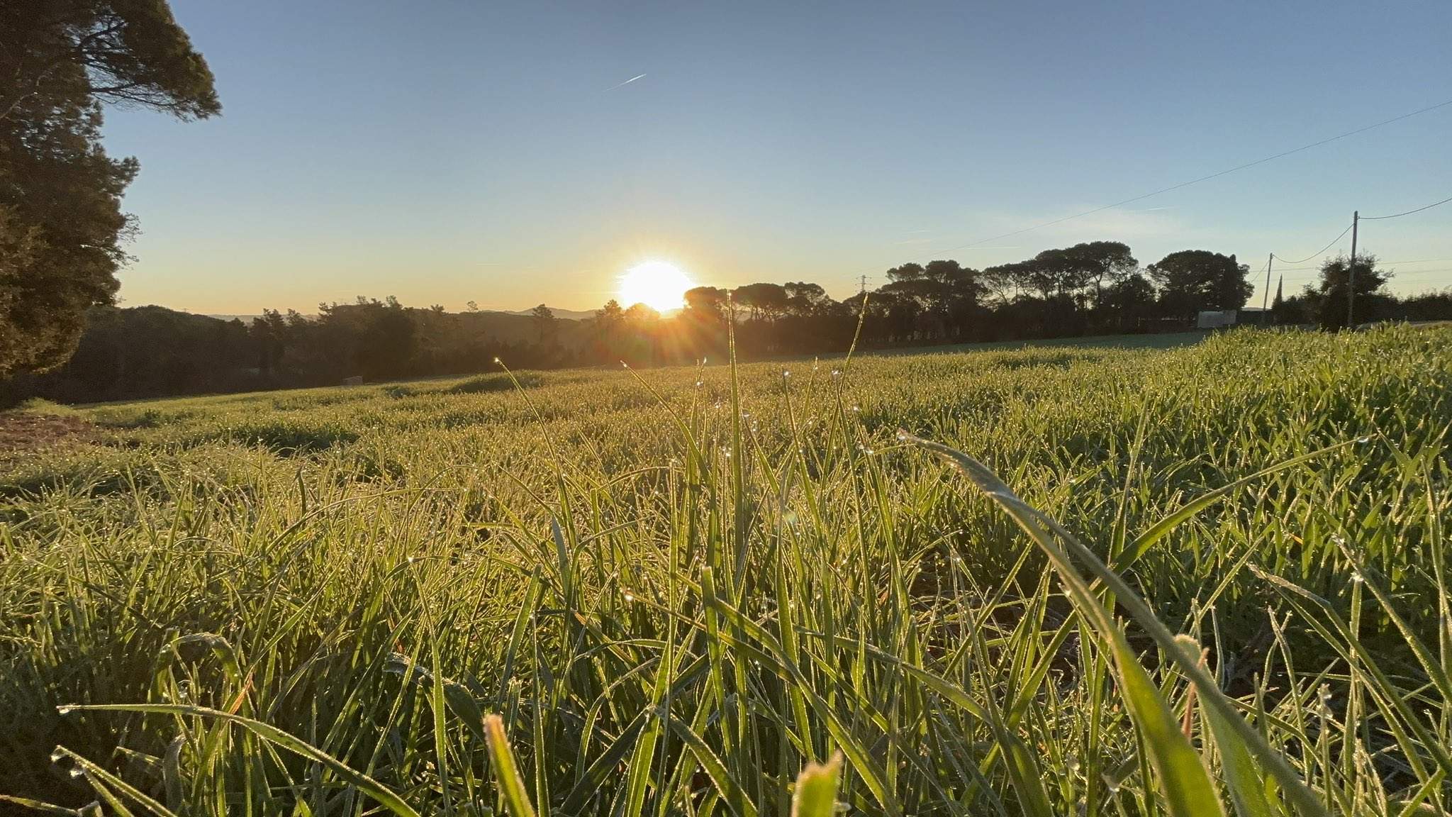 Catalunya diu adeu a les borrasques: torna l'anticicló amb una pujada de les temperatures