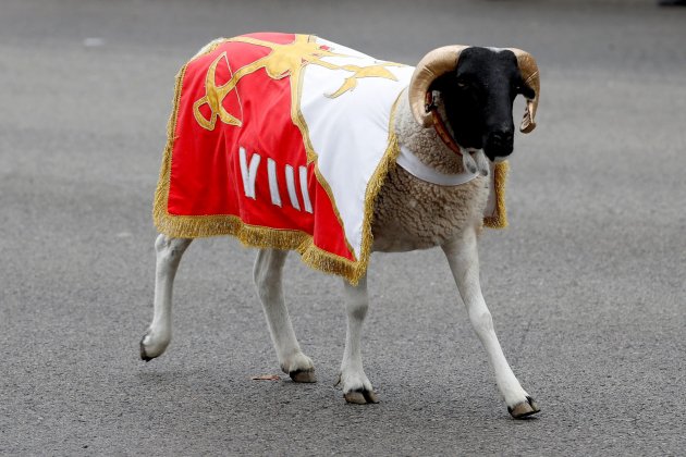 cabra legio hispanidad desfilada militar efe