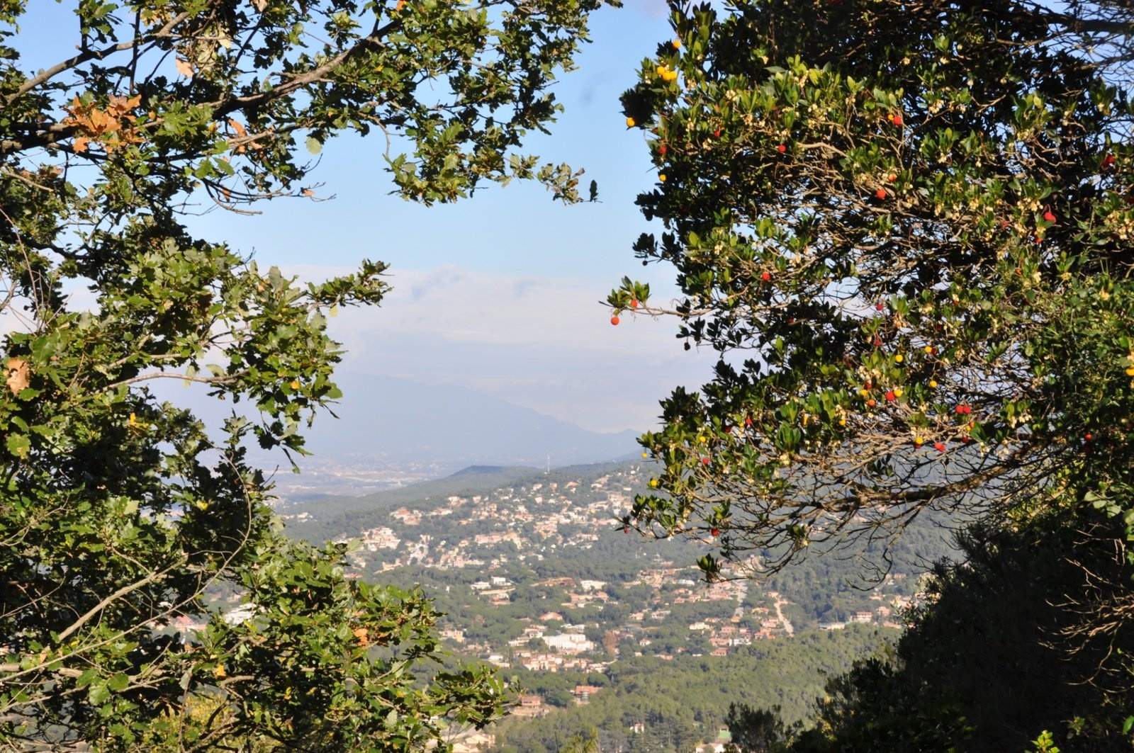 Salida de naturaleza, antiguos caminos en Tiana