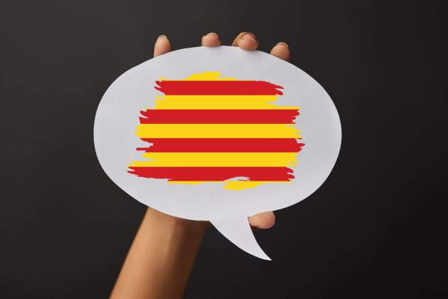 Imagen de un icono con la senyera