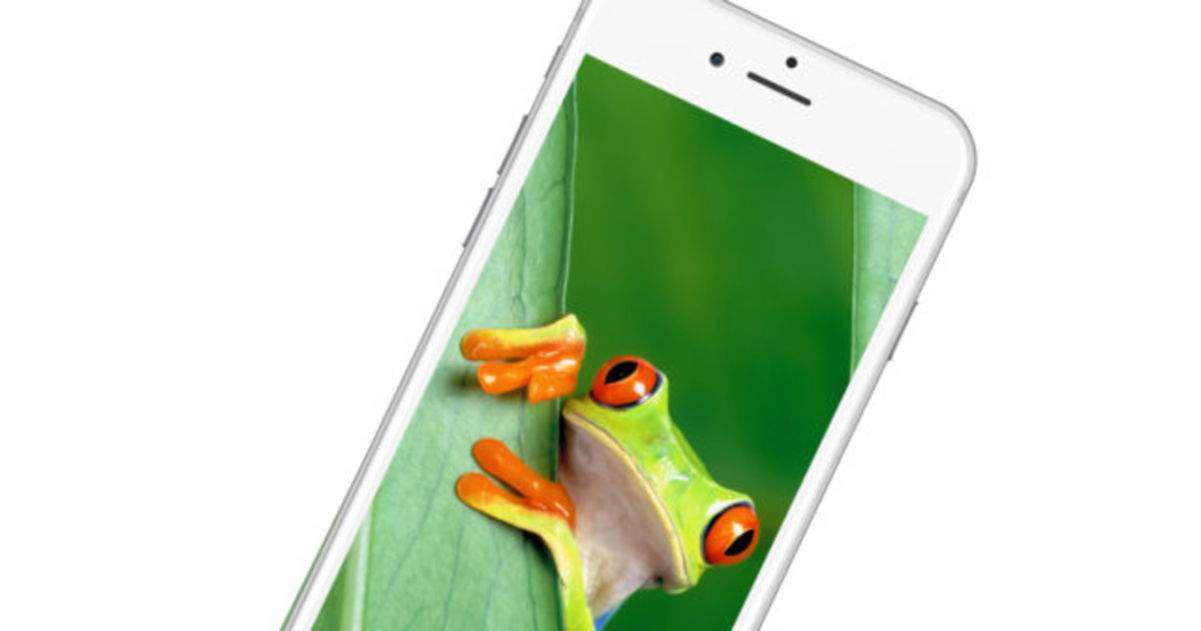 10 bonics fons de pantalla d'animals per al teu iPhone