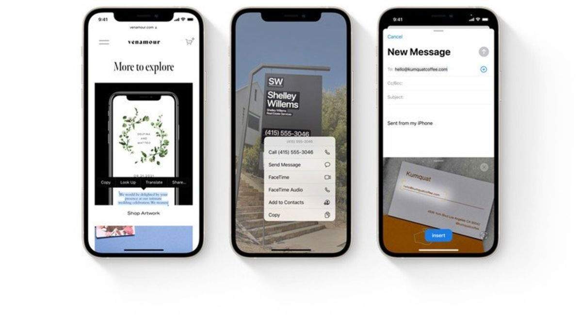 Cómo copiar y pegar texto de fotos en iOS 15