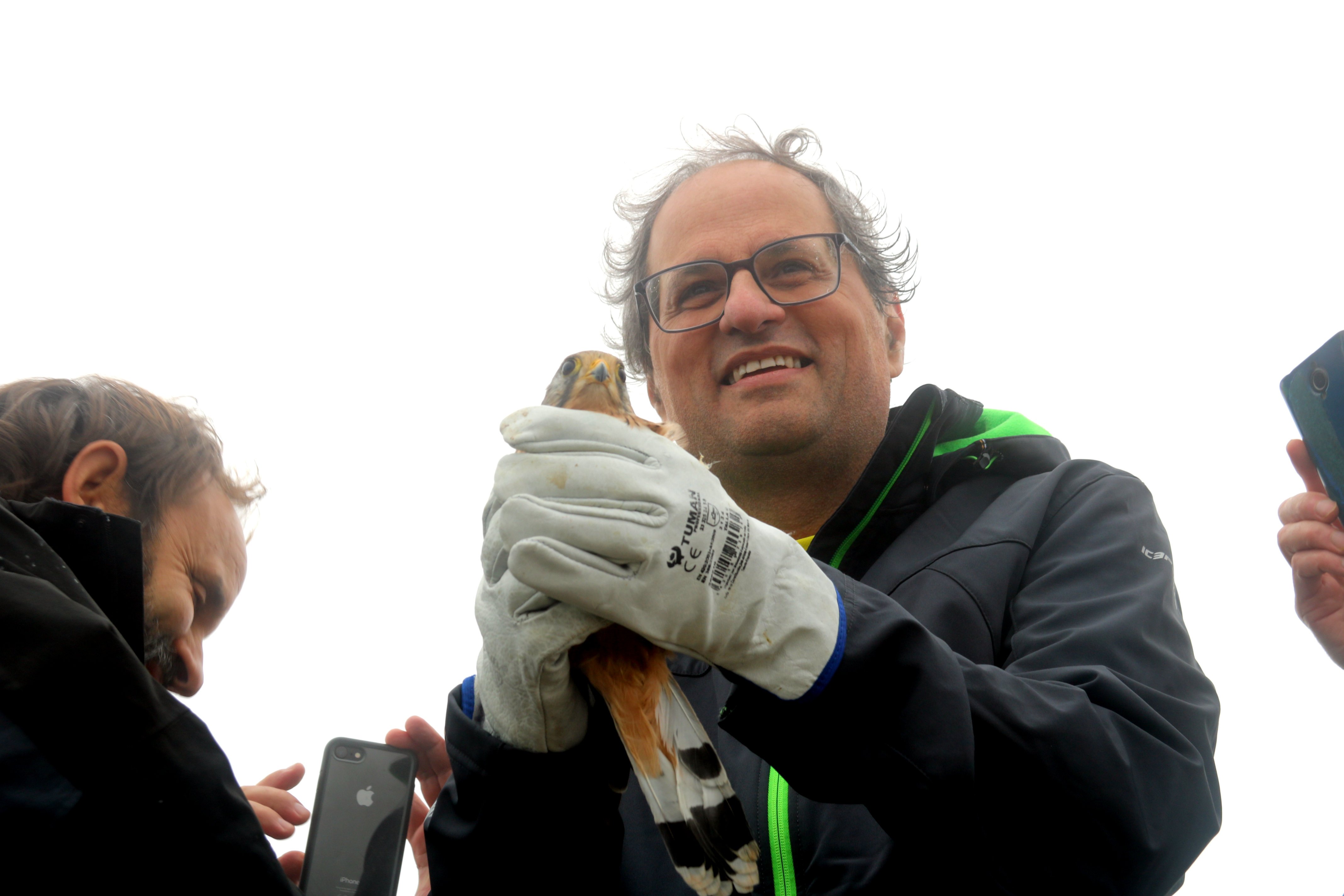 VÍDEO: L'alliberament simbòlic del falcó de Quim Torra