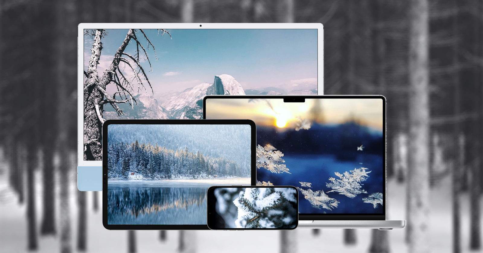 Llega el invierno y estos son los mejores wallpapers para esta época del año