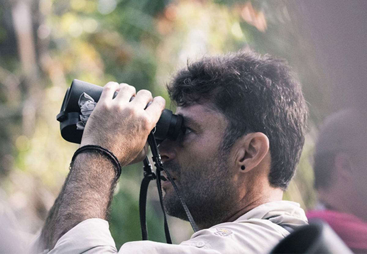 Mejores apps para identificar aves desde iPhone