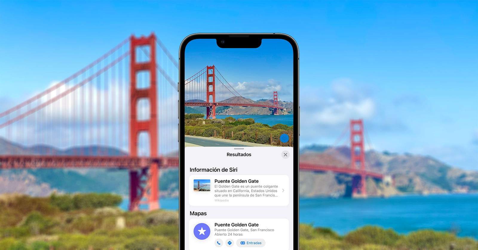 El truco secreto de tu iPhone para identificar un lugar,  una obra de arte, una planta o una mascota