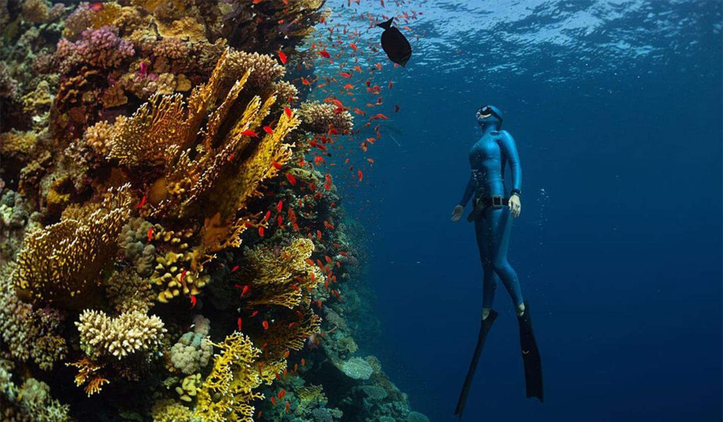 Millors 7 apps per entrenar apnea disponibles a l'App Store