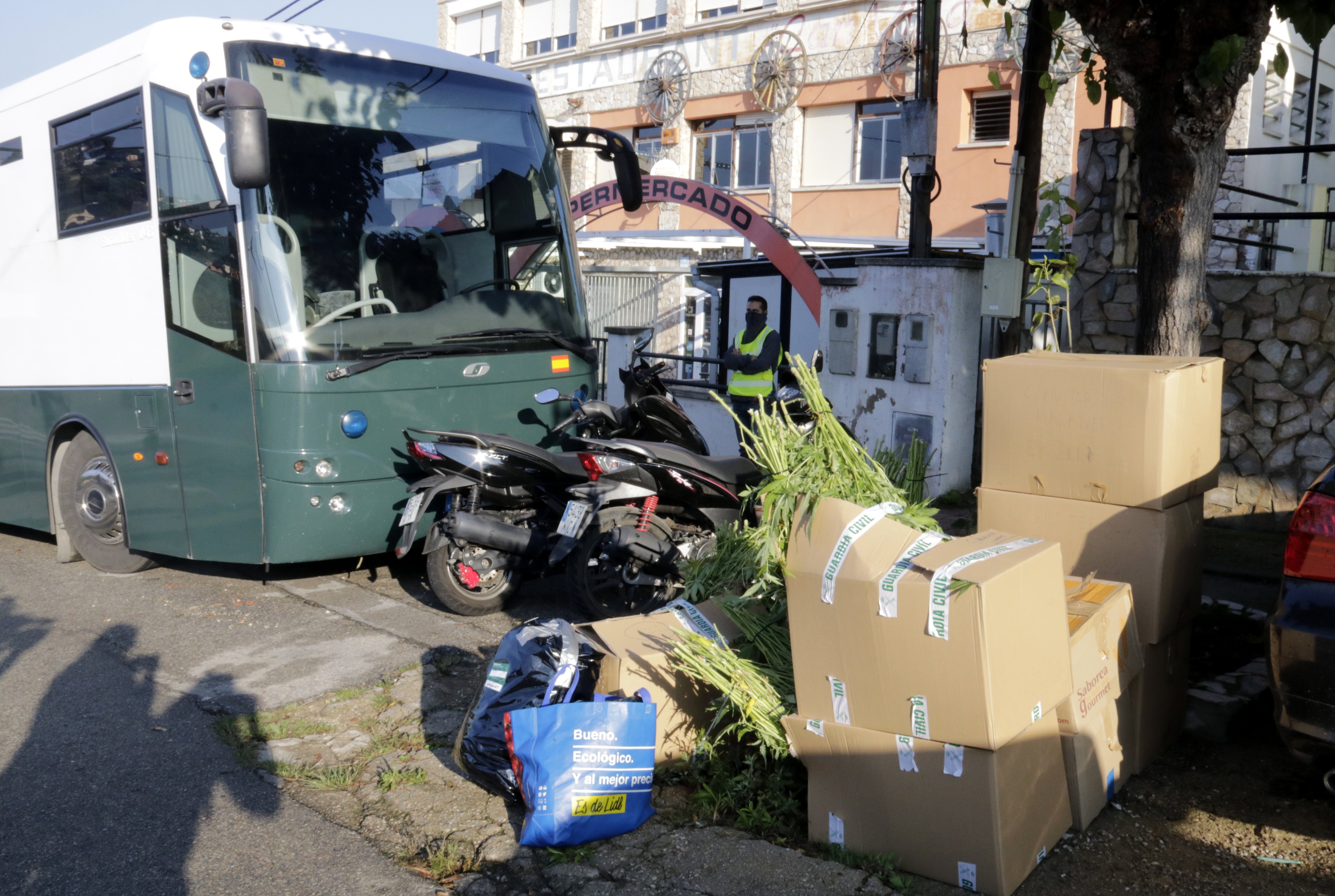 Macrooperatiu policial contra el tràfic de marihuana a la Selva