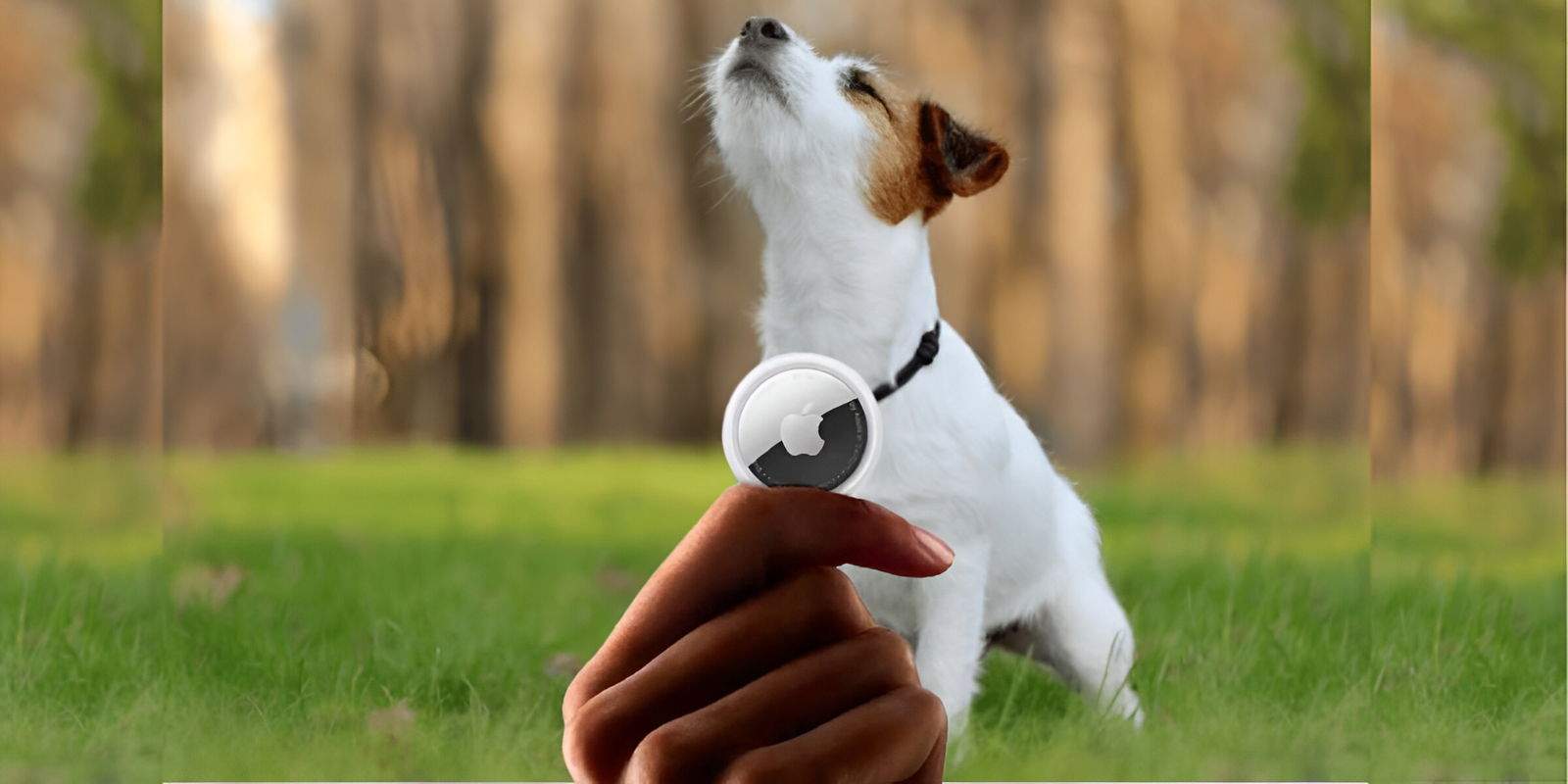 Este perro perdido se ha reunido con su dueño gracias al AirTag de Apple