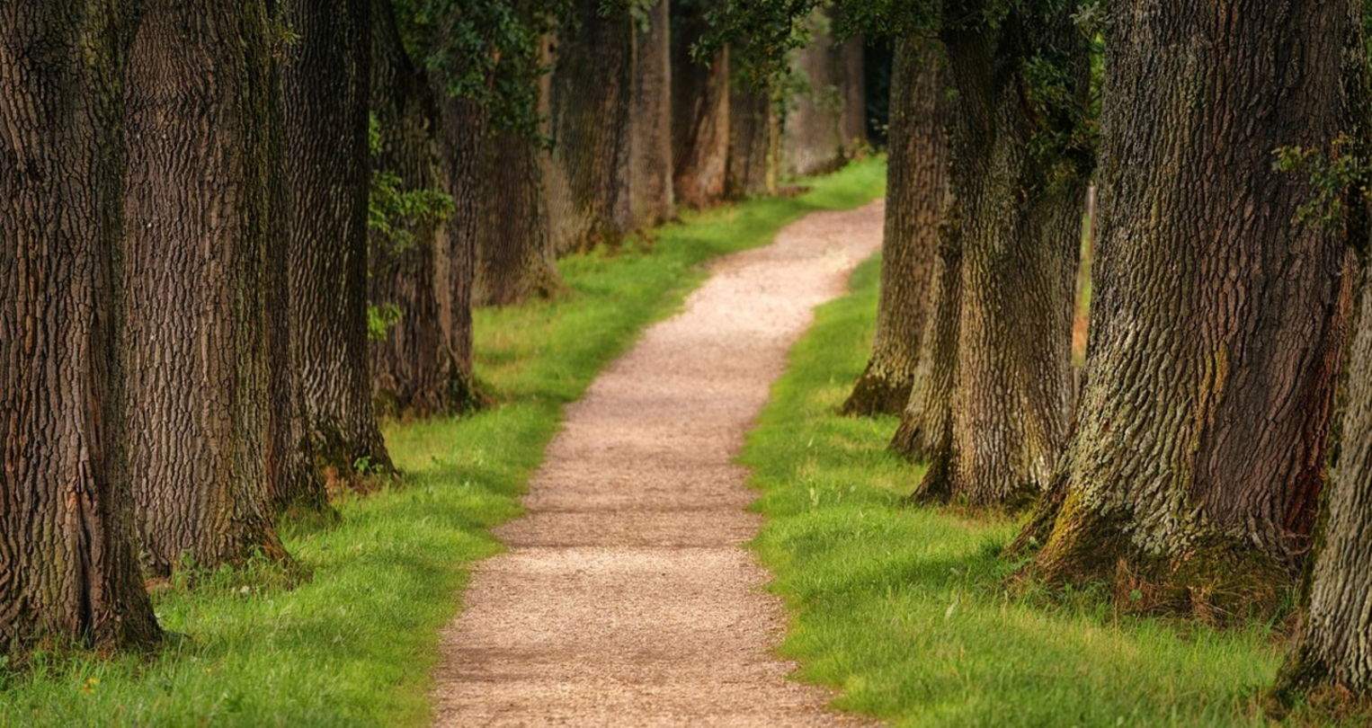 Las mejores apps para irse de ruta con el iPhone