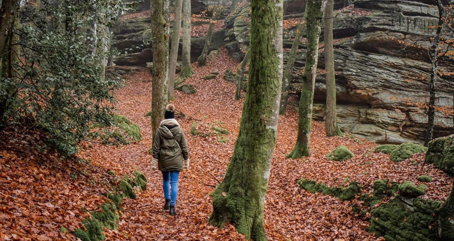 ¿Et vas perdre a la muntanya sense senyal? El teu Apple Watch pot ajudar-te a tornar amb aquesta funció poc coneguda