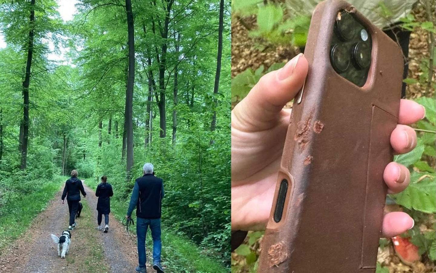 Un iPhone 16 Pro cau des d'una avioneta gravant la caiguda i sobreviu sense problemes