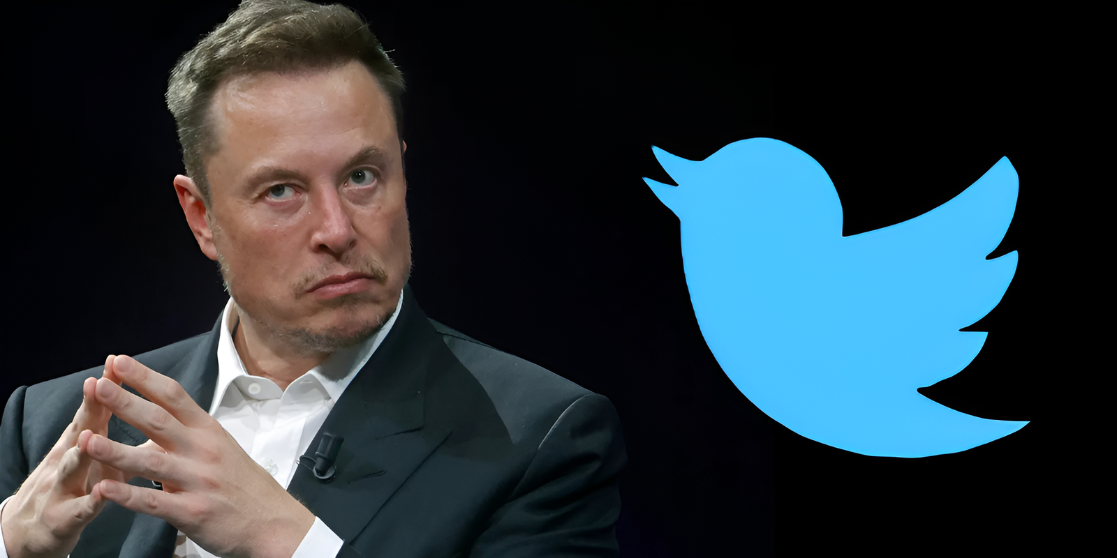 Hay una startup que quiere relanzar Twitter, Elon Musk estará furioso