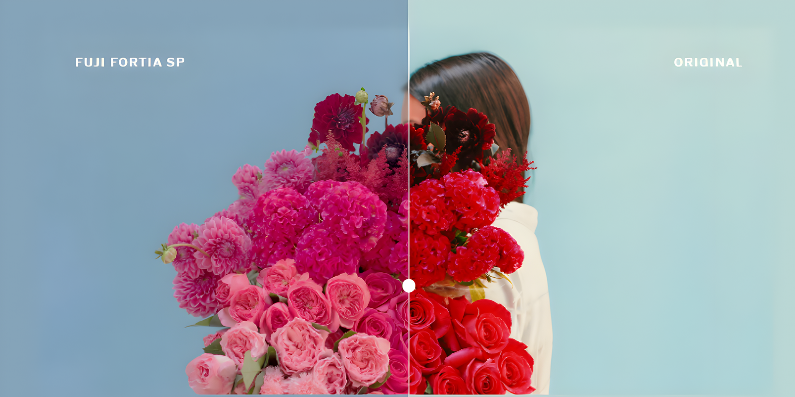 VSCO Cam s'actualitza amb gravació de vídeo i 50 filtres en temps real