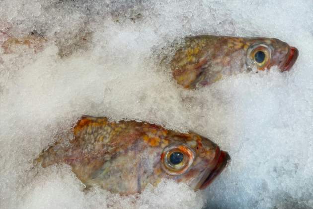 Pescado a la sal / Foto: Unsplash