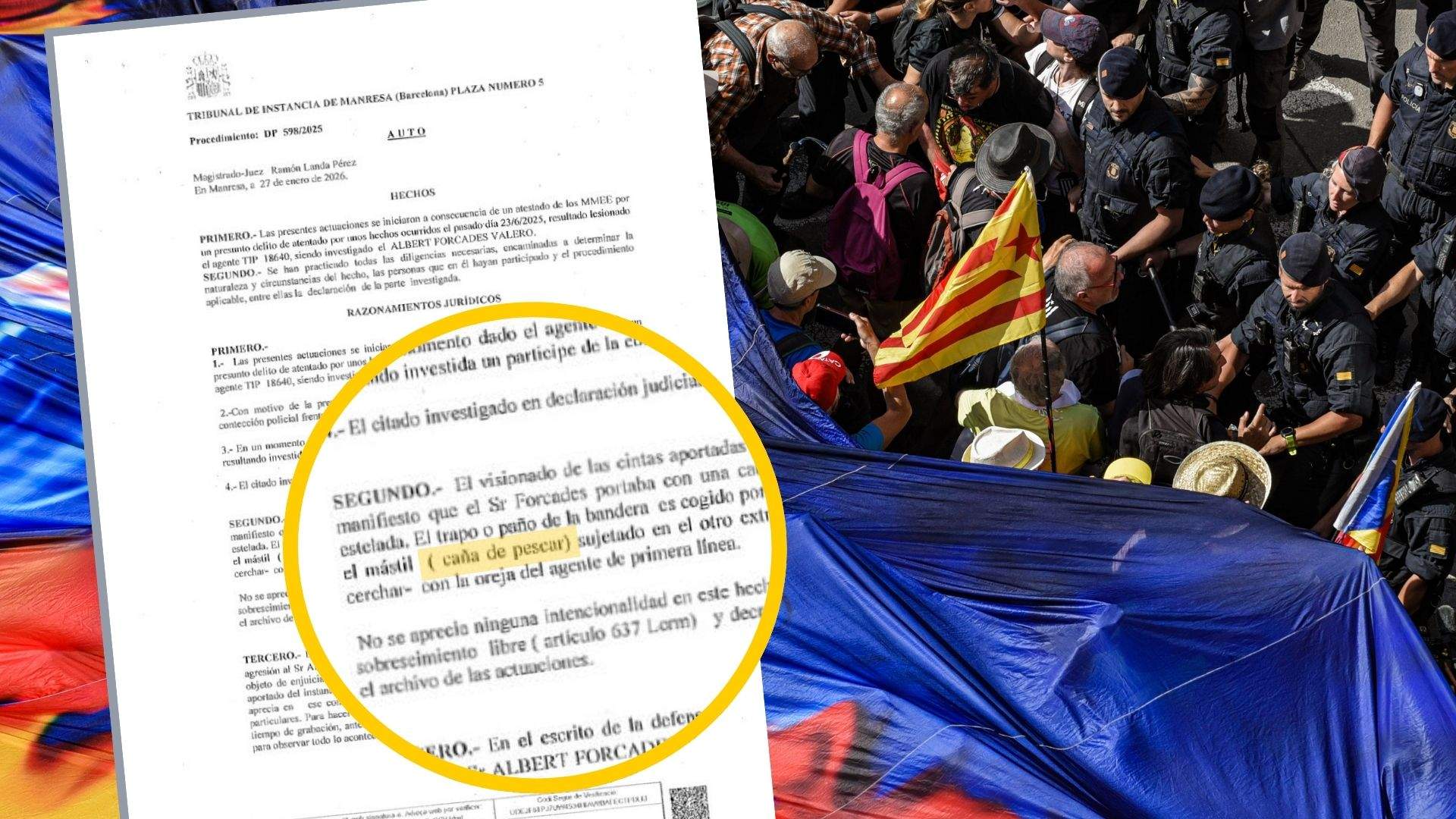 Còpia de Imatge peces Caso (1)