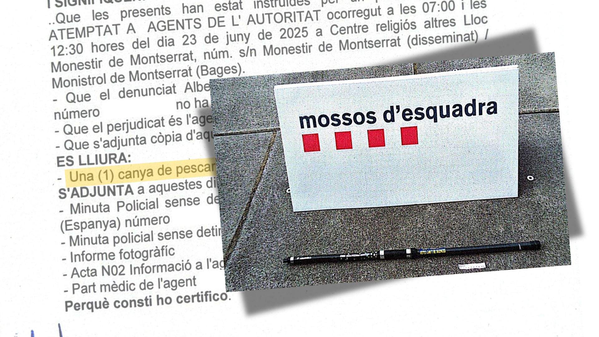 Còpia de Imatge peces Caso (2)