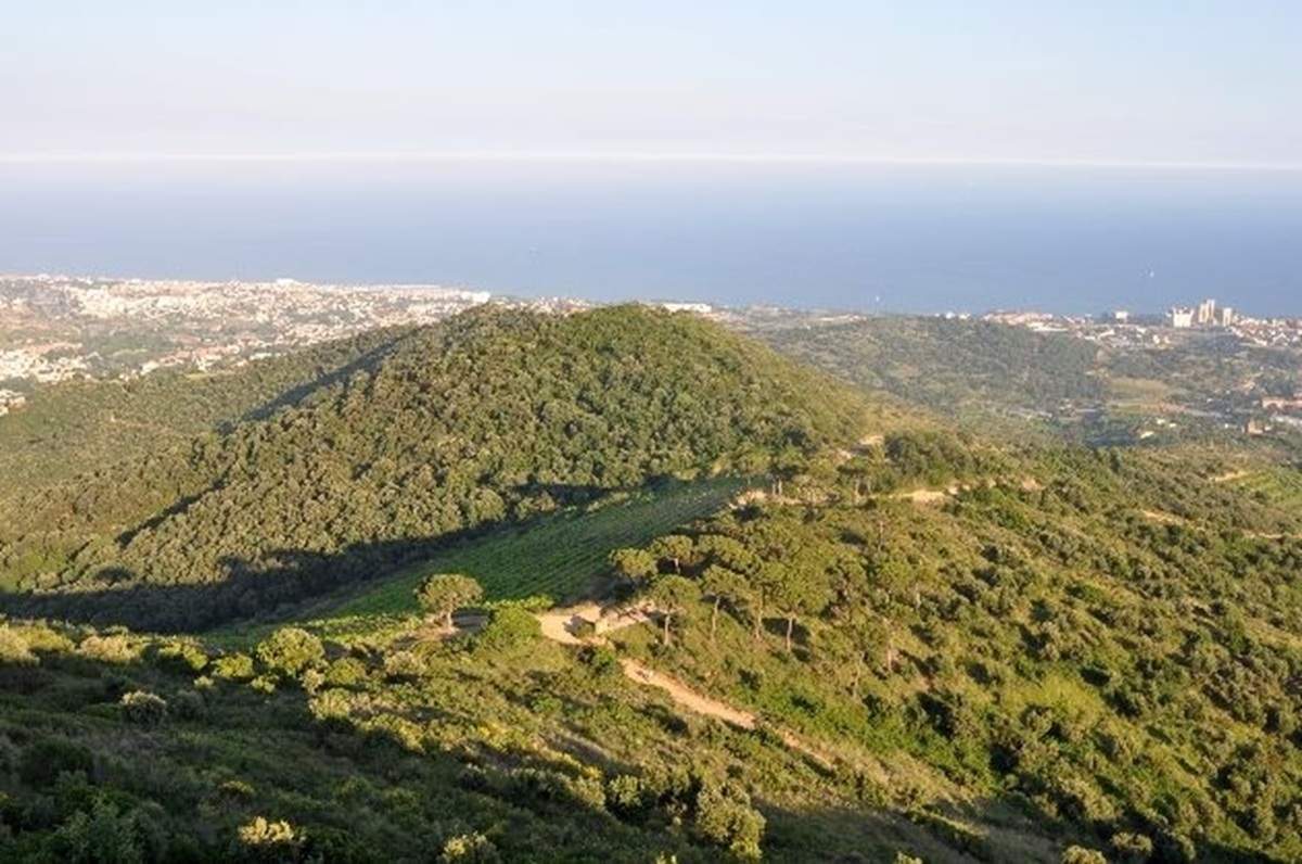 Salida de naturaleza. Las cimas del Maresme
