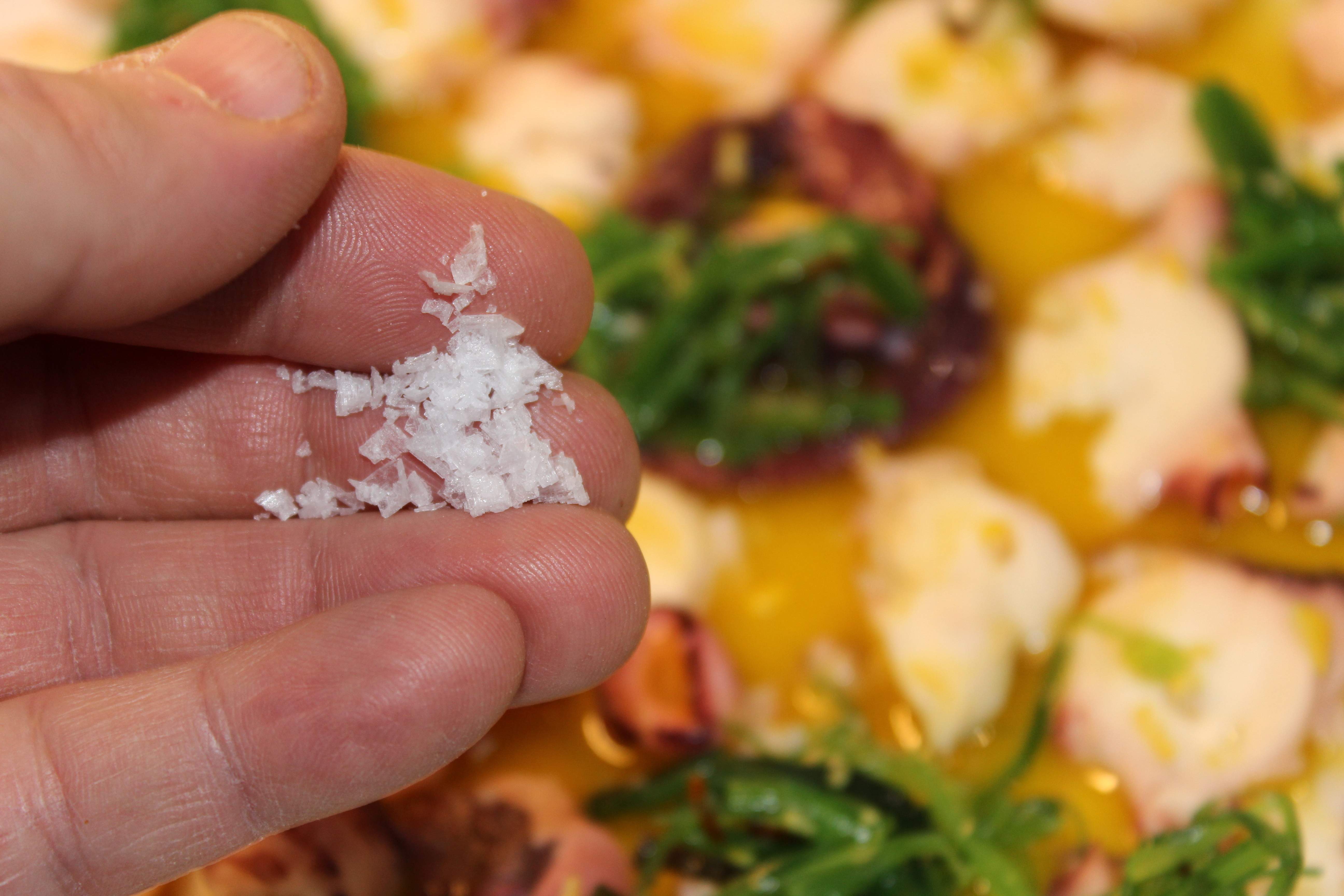 Rap amb salsa de pa (2)