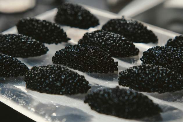 Caviar, símbolo de lujo / Foto: Unsplash