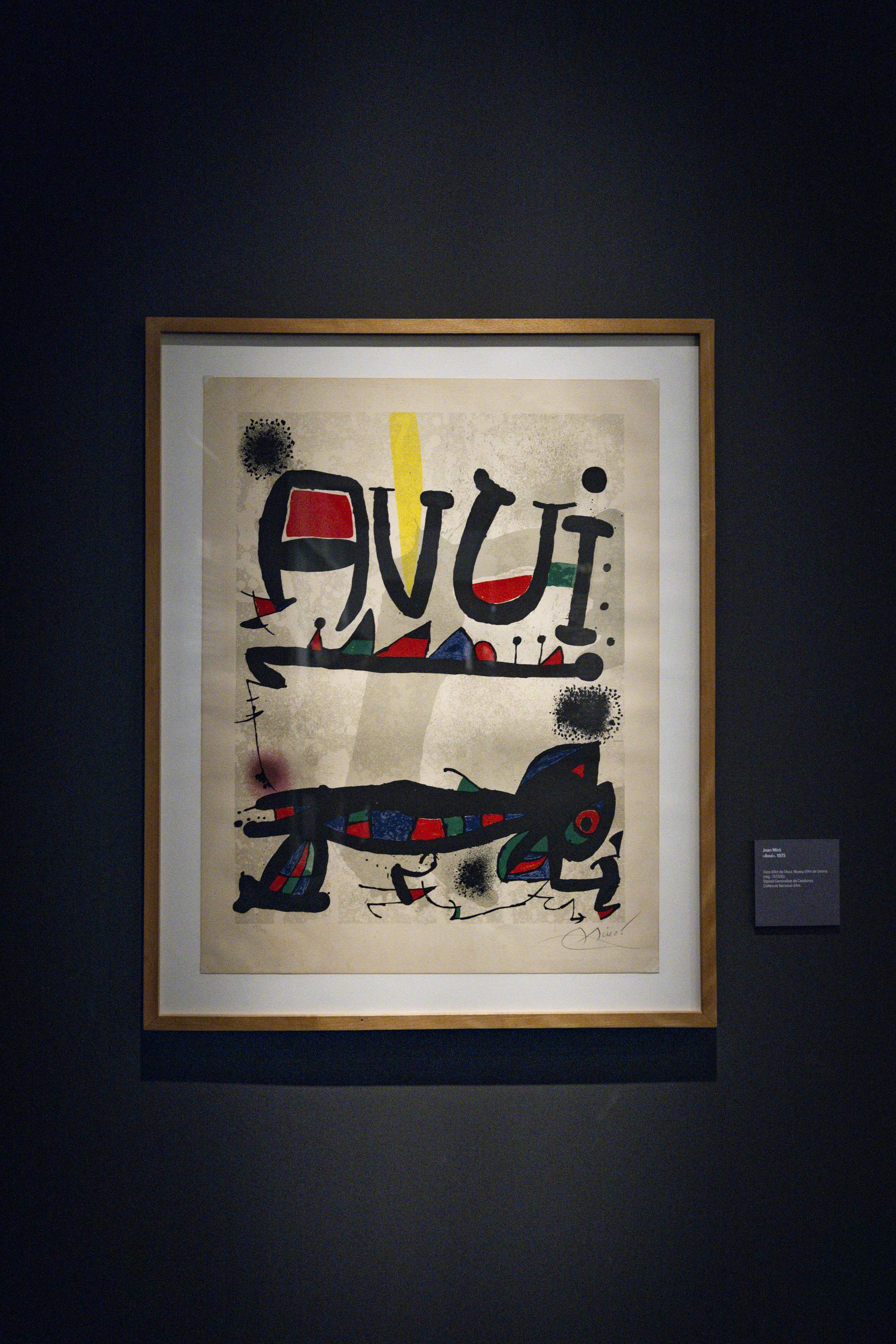 Exposició 50 anys avui14