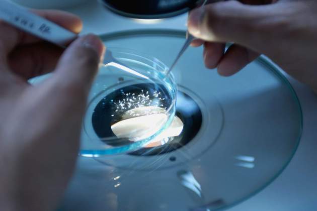 Laboratorio, cada vez más presente en la dieta / Foto: Unsplash