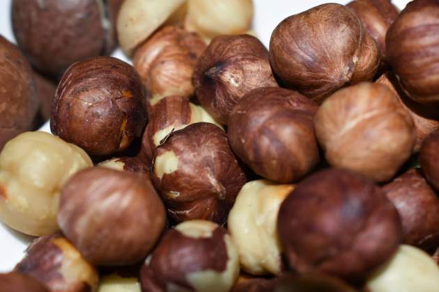 Los frutos secos formaban parte de su dieta / Foto: Unsplash