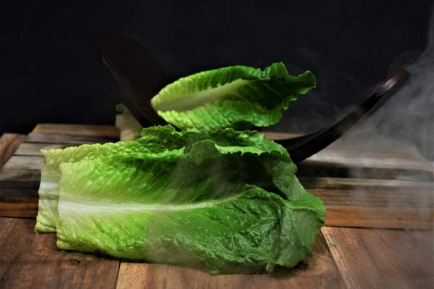 Antoni Gaudí consumia muchos vegetales / Foto: Unsplash