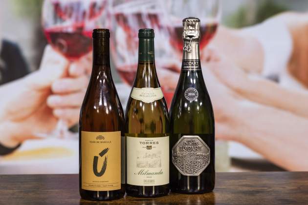 Laura Serrano Vins Un vi per cada moment / Foto: Carlos Baglietto Laura Serrano Vins Un vi per cada moment / Foto: Carlos Baglietto