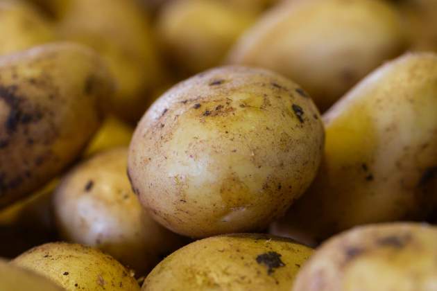 Tortilla de patatas / Foto: Unsplash