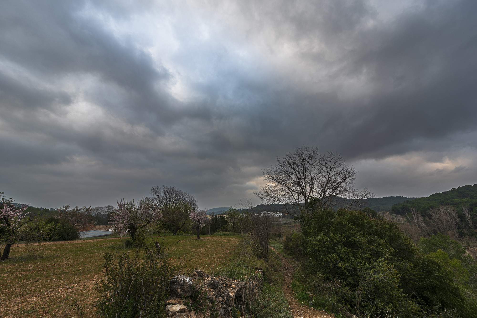 La primavera meteorológica llegará a Catalunya con más precipitaciones y polvo en suspensión
