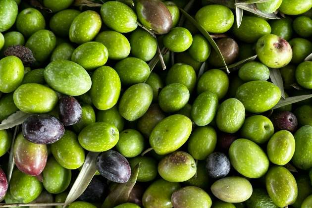 Olivas Arguiñano / Foto: Unsplash